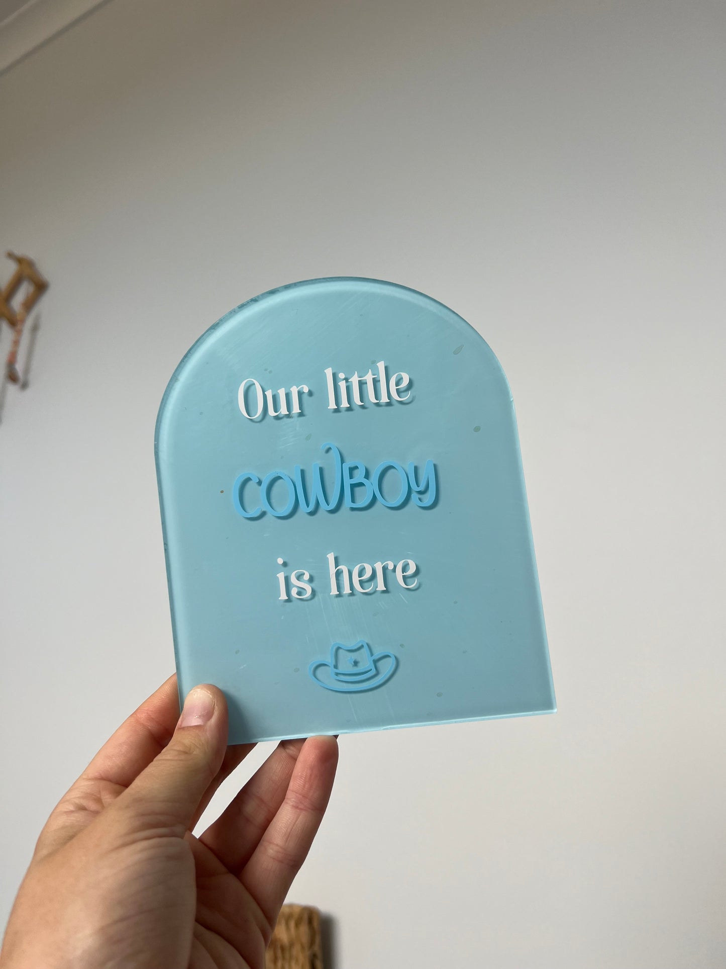 Our little Cowboy/Cowgirl is here