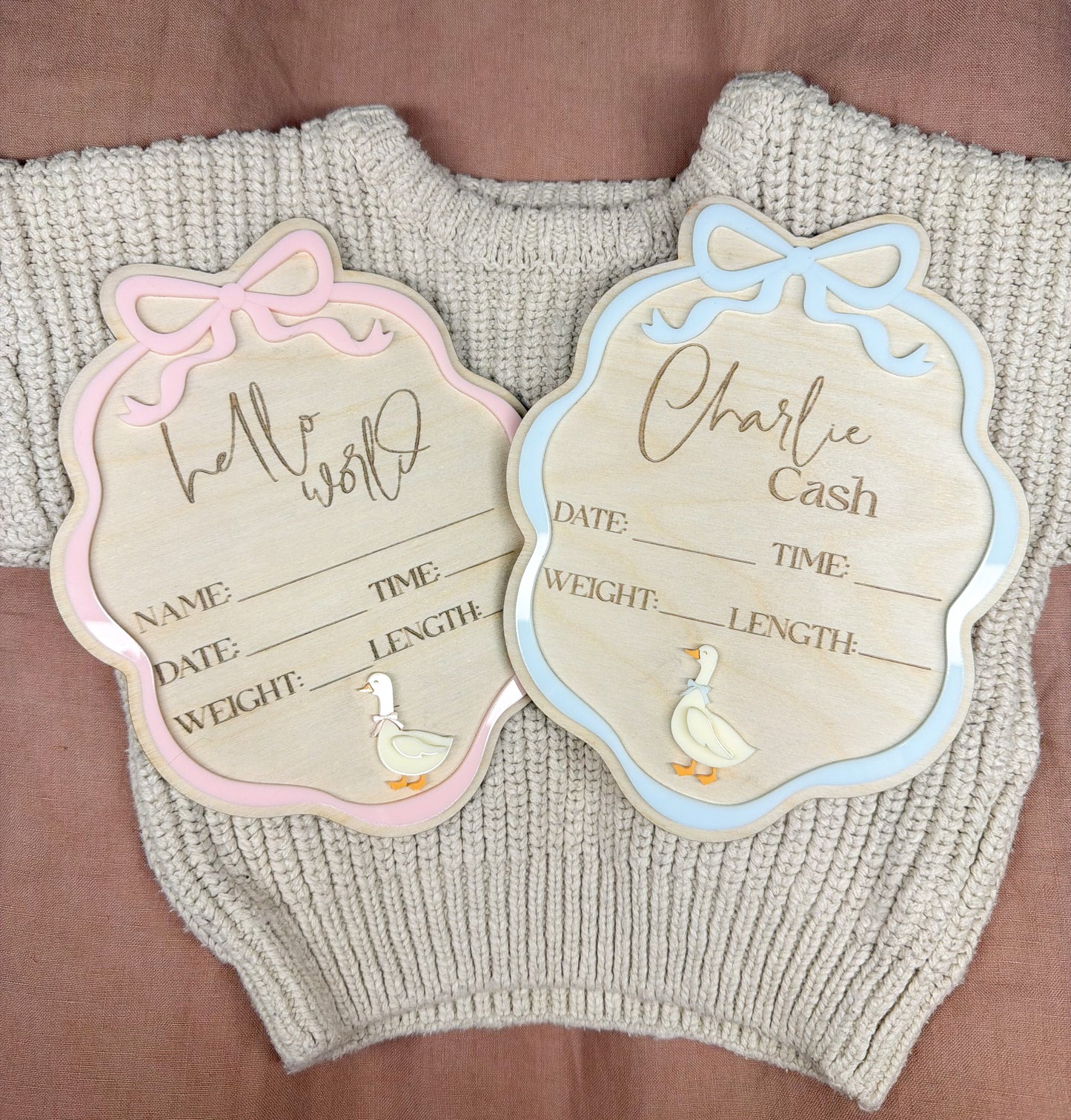 Little Goose Birth Announcement Plaque