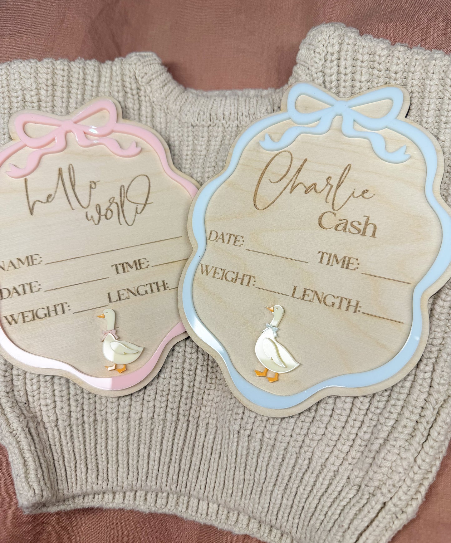 Little Goose Birth Announcement Plaque